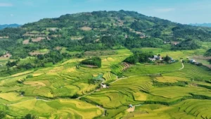 Giây phút người vợ bầu 8 tháng chia ly chồng