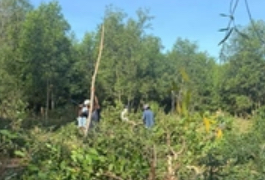 Công an xã Mai Châu liên tiếp lập công, bắt giữ nhiều đối tượng tàng trữ trái phép chất ma túy (16/03/2026)