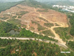 Công an xã Mai Châu liên tiếp lập công, bắt giữ nhiều đối tượng tàng trữ trái phép chất ma túy (16/03/2026)